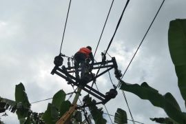 PLN pulihkan sistem kelistrikan pascagempa tektonik
