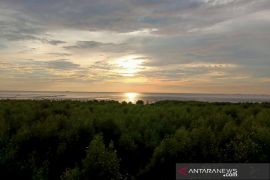 Sendratari Pedjoeang Tabanio, Kaprodi : Populerkan wisata mangrove Kalsel