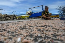 DFW: Perkuat pendataan hasil tangkapan perikanan skala kecil