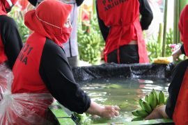 Komnas: Kualitas K3 harus perhatikan pengalaman perempuan pekerja