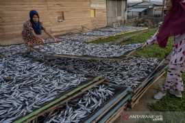 Alokasi Anggaran Untuk Sektor Perikanan Tangkap Page 4 Small