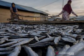 Alokasi Anggaran Untuk Sektor Perikanan Tangkap Page 5 Small