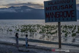 Konservasi Mangrove untuk Perubahan Iklim Page 1 Small