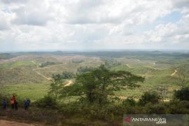 Perusahaan pengembang perumahan mencari lahan di ibu kota negara baru