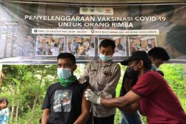 Ratusan orang rimba di Jambi telah divaksin
