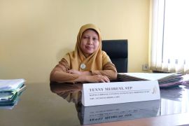 Belitung targetkan panen padi menjadi tiga kali setahun