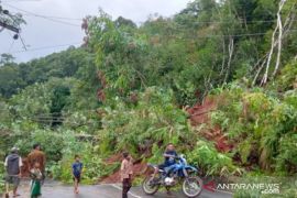 Akibat bencana, jaringan listrik di Madina dan Tapsel padam