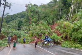 Tebing longsor, akses Jalan Nasional Pantai Barat Tapsel - Madina putus total