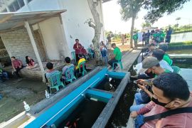 CSR PT AGM : Belajar pembibitan hingga hasil olahan ikan di Batu Kumbung, NTB