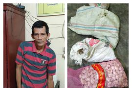 Polsek Pangkalan Brandan tangkap pencuri empat karung bawang putih