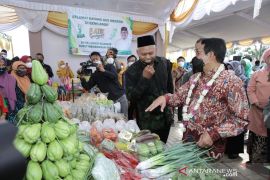 Bertahan di tengah pandemi COVID-19 dengan mengandalkan dana desa