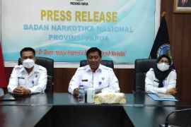 BNN sebut PNG jadi pemasok utama ganja di Papua