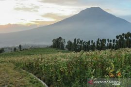 Cara Desa Tlilir di Temanggung bangun kemandirian melalui pariwisata