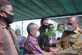 Gubernur serahkan 1.000 bibit Alpukat Roro untuk masyarakat Bangka