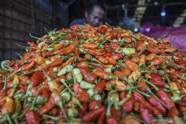 Terjadi kenaikan cukup tingg untuk harga cabai - minyak goreng di Kubu Raya