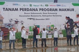 Kementerian BUMN sebut petani ikut program Makmur dapat banyak keuntungan