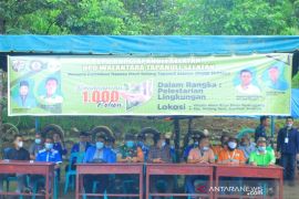 Pemuda Tapsel bangkit lestarikan lingkungan dengan tanam 1000 pohon