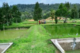Staf Khusus Menteri Kelautan dan Perikanan kunjungi Kampung Patin, ada apa?