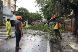 Hujan deras disertai angin kencang rusak puluhan rumah di Malang Raya