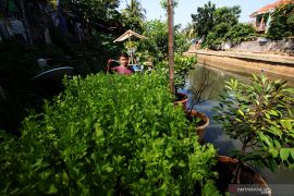 Empat tips bercocok tanam halaman rumah