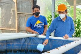 Anggota DPD dorong petani Bali lebih serius bertani