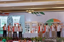 Pupuk Indonesia luncurkan pupuk Nitrea dan Phonska Plus