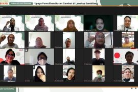 Hutan gambut Lanskap Sembilang Musi Banyuasin jadi target restorasi 2022