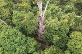 3 desa di Muba bentuk Masyarakat Peduli Restorasi gambut