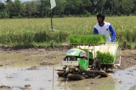 Modern technology lifts farm productivity by 30–50%: govt