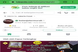 Tokopedia sebut peningkatan jumlah penjual di Indonesi Timur