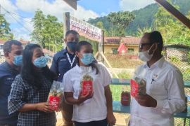 Program UMKM Toba Tilapia PT STP diresmikan