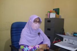 Harga cabai rawit di Belitung tembus Rp150 ribu per kilogram