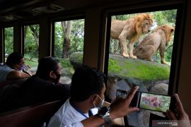 Indonesia's Bali Safari ready for tourist surge this holiday season