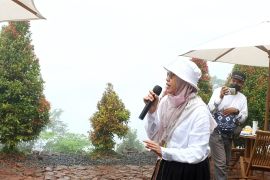 Indeks kualitas lingkungan hidup Kalsel meningkat menjadi 70.90