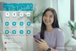 Aplikasi PLN Mobile mempunyai layanan baca meter sendiri