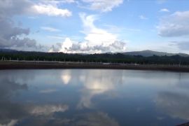 Setrum PLN, gairahkan petani tambak udang di masa pandemi