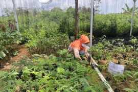 Menjaga kelestarian Lanskap Sembilang Dangku, ini caranya