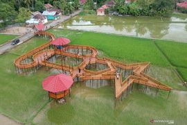 Wisata sawah di Pariaman