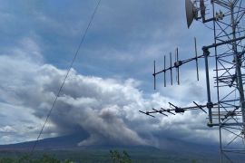 BNPB: Kolom abu dari puncak Gunung Semeru teramati menuju tenggara