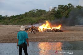 Pembakaran paus sperma yang mati terdampar di Kupang