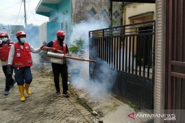 PMI Jember fogging dua perumahan setelah tiga anak terserang DBD