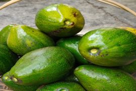 Lampung perluas pengembangan kawasan benih hortikultura