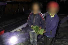 Malaysia gagalkan penyelundupan lima ton daun kratom