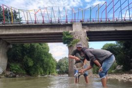 Ecoton soroti membanjirnya sampah plastik di Sungai Bedadung Jember
