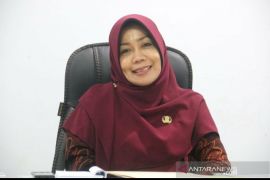 DP3A Sulteng berdayakan rumah tangga kembangkan industri rumahan, atasi kesenjangan ekonomi