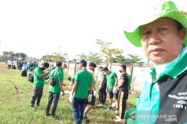 FKH berkolaborasi hijaukan stadion Pemkot Banjarmasin