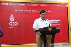 Luhut: RI akan jawab keberatan Korsel-Jepang soal ekspor batu bara