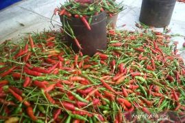 Harga sayuran melambung di Banjarmasin