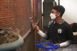 Pelajar SMP di Kota Batu ternak burung berkicau beromzet jutaan rupiah
