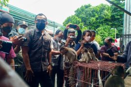 Distan Denpasar tertibkan penjual HPR